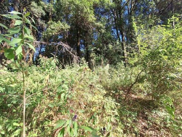 Terreno en Venta, Huixquilucan Estado de México