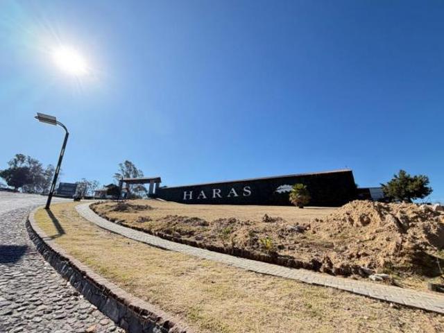 Terreno en venta Haras del Bosque Puebla, 1,000 metros sobre avenida