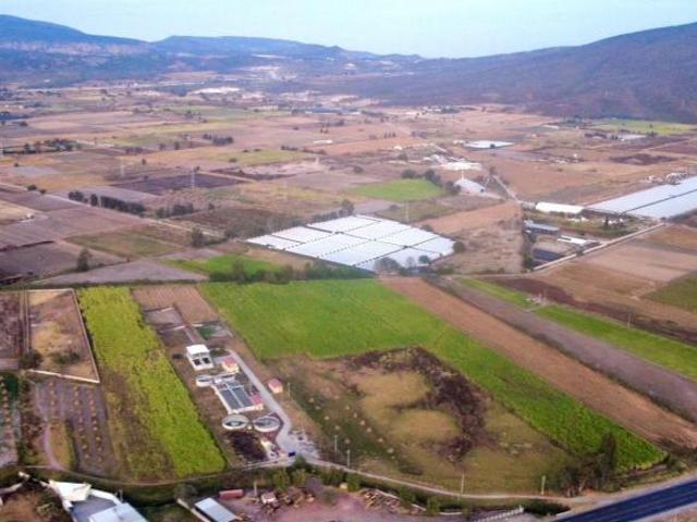 Terreno en venta ideal para parque industrial o bodega, en Cruz Vieja Tlajomulco, camino a San Isidr