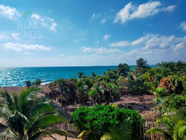Terreno en venta Isla Blanca Cancun