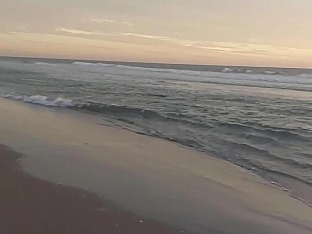 TERRENO EN VENTA ISLA DE LA PIEDRA, MAZATLÁN, SINALOA