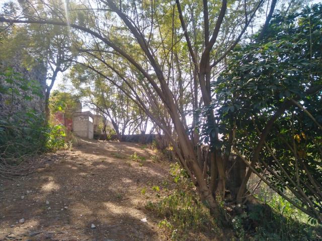 Terreno en Venta, Junto al R?o, Temixco, Cuernavaca Sur