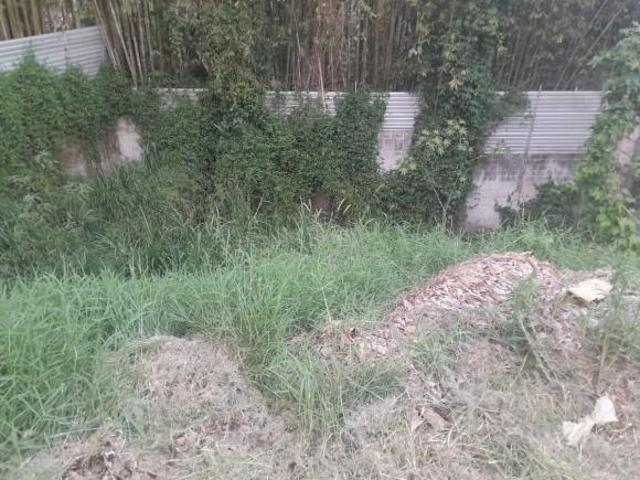 Terreno en Venta Jardines de las Ánimas Xalapa, Ver