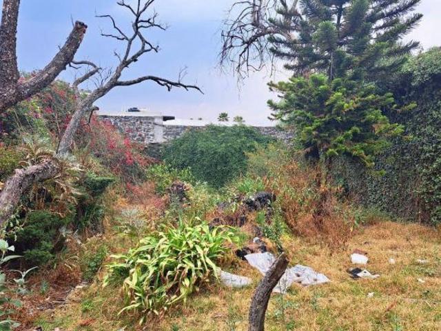 Terreno en Venta, Jardines del Pedregal