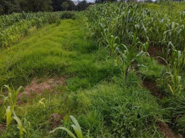 Terreno en Venta Jiquipilco estado de Mexico