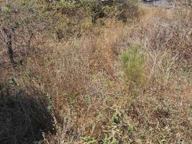 Terreno en Venta Kloster Sumiya 770 mts Cuadrados Totalmente Planos
