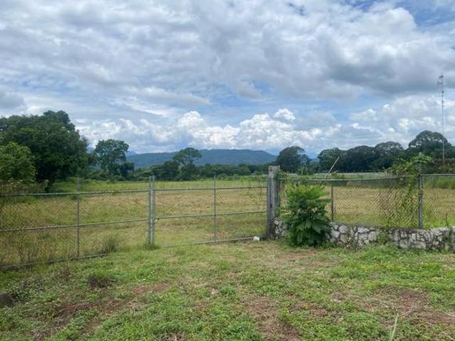 Terreno en Venta Km 12 superficie 12,000 m2, Fraternidad Amatlan de los Reyes, Ver
