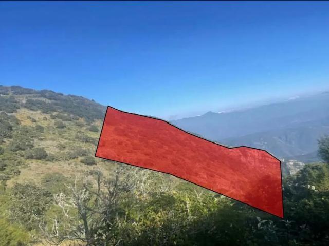 TERRENO EN VENTA LA MORA, HIDALGO