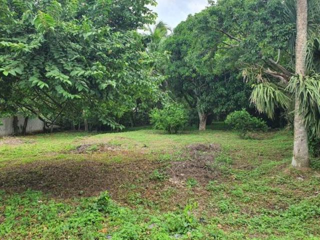 Terreno en venta, la aguada en Alvarado,Ver