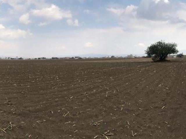 TERRENO EN VENTA LA CONCHITA CALIMAYA