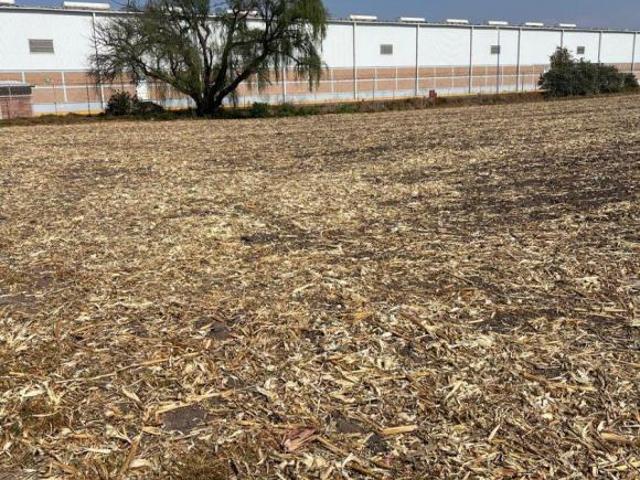 TERRENO EN VENTA LA CONSTITUCIÓN TOLTEPEC