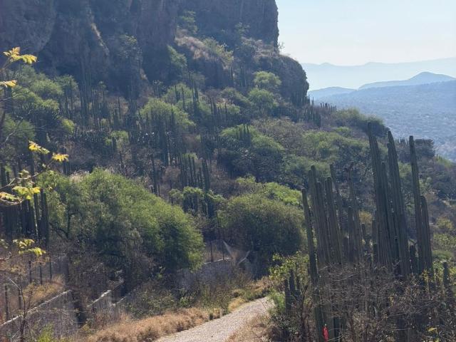 TERRENO EN VENTA LA HIGADERA EZEQUIEL MONTES SUP. 300 m2