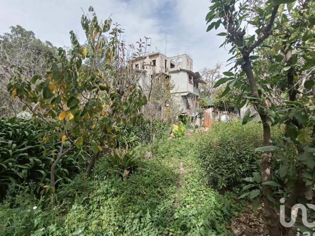 Terreno en venta La Purificación Tepetitla, Texcoco