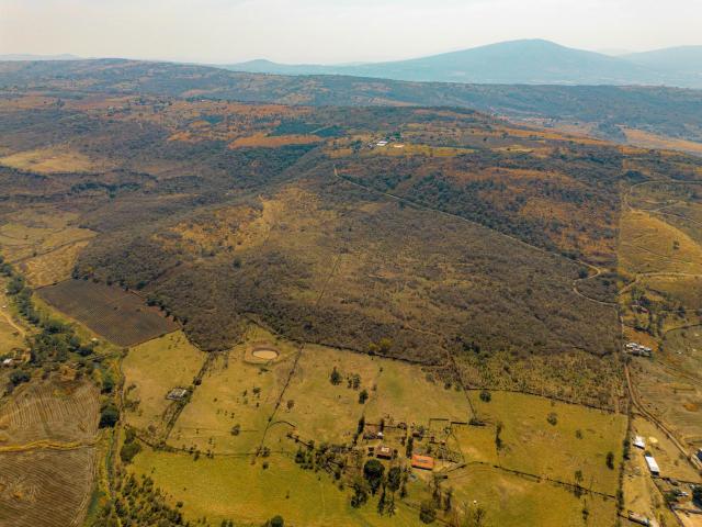 TERRENO EN VENTA LA PALMA ZAPOTLANEJO