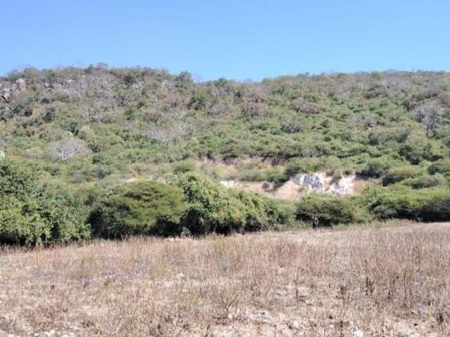 Terreno en Venta las Estacas morelos