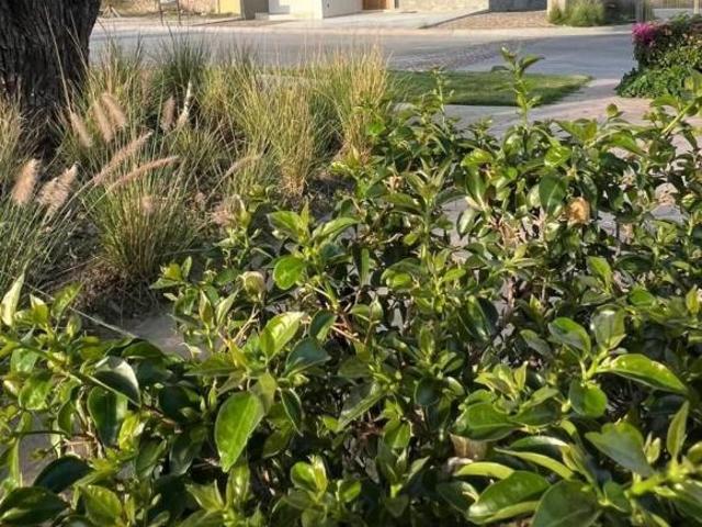 TERRENO EN VENTA LOMAS DEL MOLINO V