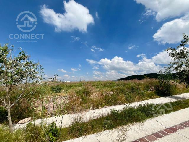 Terreno en Venta, Lomas Punta del Este, Punta del Risco, Le?n Gto