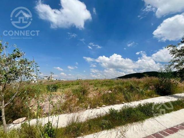 Terreno en Venta, Lomas Punta del Este, Punta del Risco, León Gto