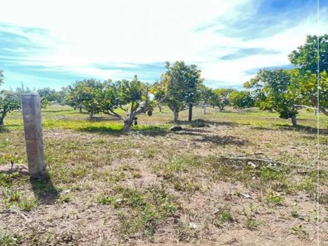 TERRENO EN VENTA LOS COCOS, SAN BLAS, NAY