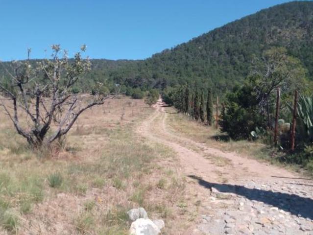 Terreno en Venta, Los Lirios, Arteaga Coahuila