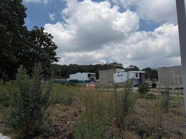 Terreno en Venta Los Robles Coto Daleas