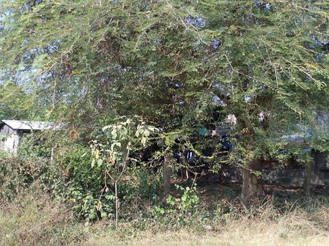Terreno en Venta. Los Sauces, ?lamo, Veracruz