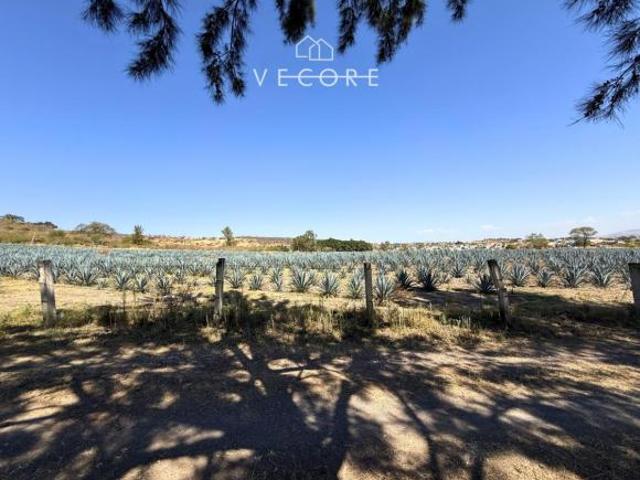 TERRENO EN VENTA, PUENTE GRANDE, JALISCO