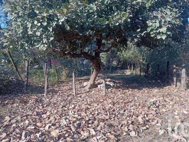 Terreno en Venta Puerto Vallarta es Ejidal