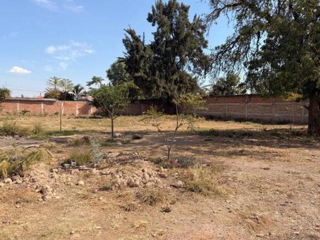 Terreno en venta Purísima del Jardín 4