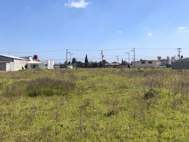 TERRENO EN VENTA PALMILLAS, TOLUCA, M?XICO