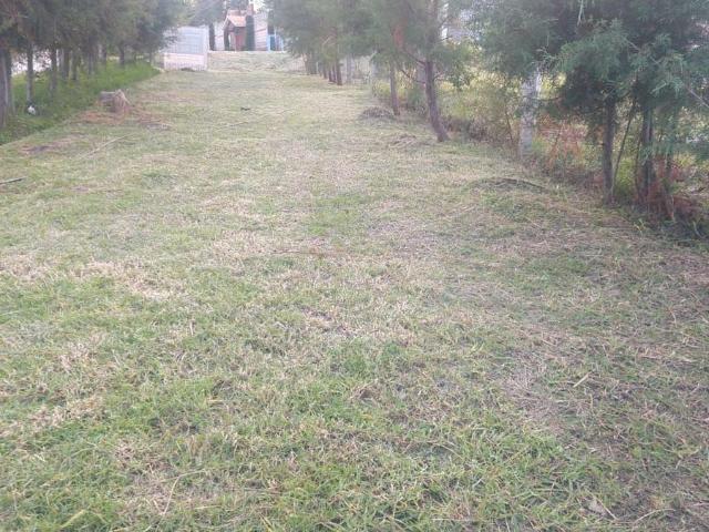 Terreno en Venta, Palo Dulce, Zampahuac?n