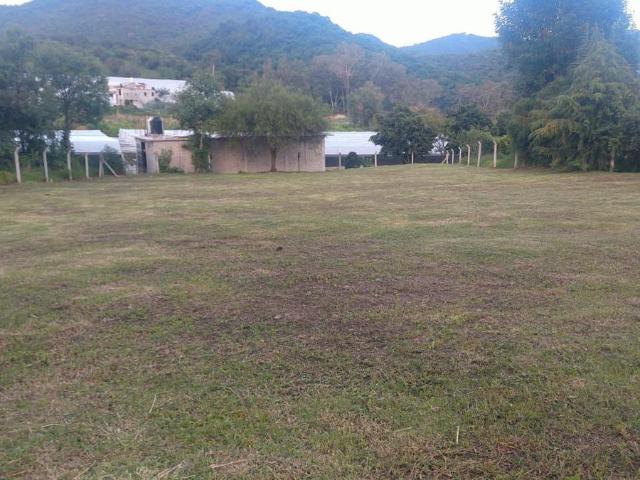Terreno en Venta, Palo Dulce, Zampahuac?n