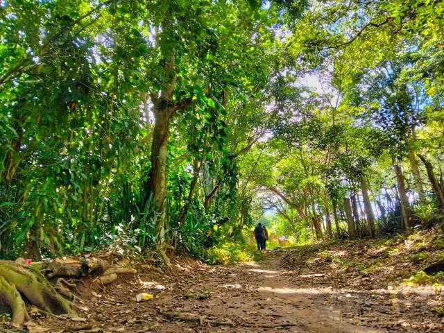 Terreno en Venta Paso Campana La Estanzuela Veracruz
