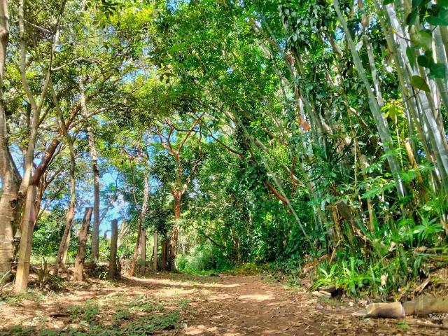 Terreno en Venta Paso Campana La Estanzuela Veracruz