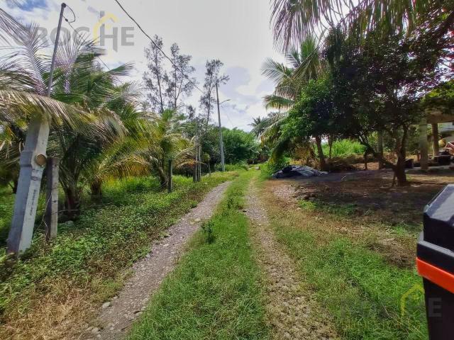 Terreno en Venta Paso de Do?a Juana Veracruz