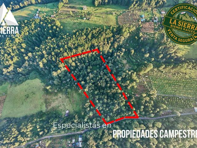 TERRENO EN VENTA PARA CABA?AS EN HUAUCHINANGO