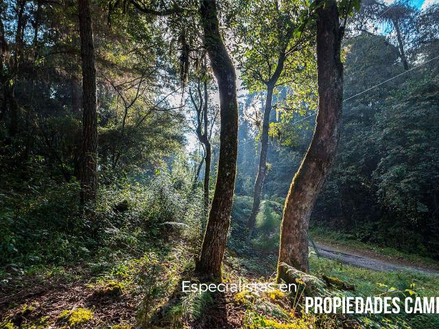 TERRENO EN VENTA PARA CABA?AS EN HUAUCHINANGO
