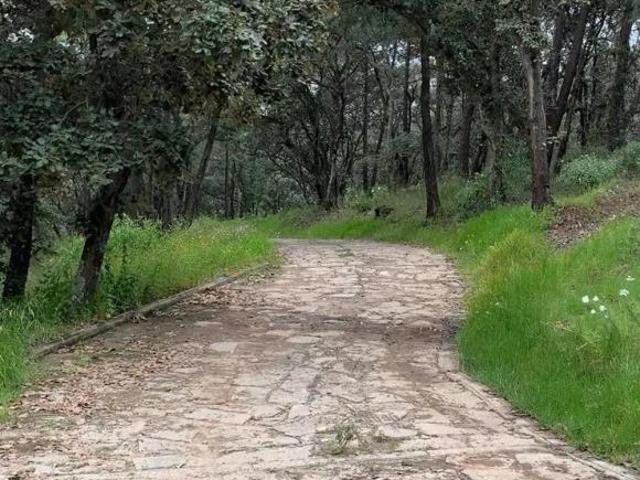 Terreno en venta para cabaña en Huimilpan,Qro, con escrituras y Financiamiento