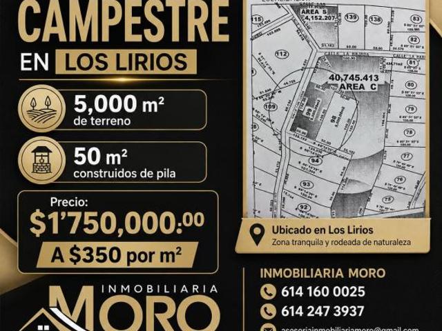 Terreno en Venta para casa de campo en Majalca Los Lirios 5,000 m2