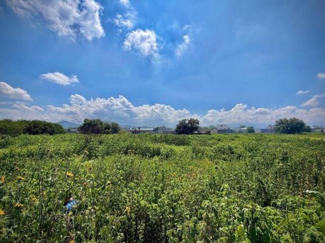 TERRENO EN VENTA PARA DESARROLLAR | 33,905 m² | USO HABITACIONAL, EN ZONA DE SERVICIOS E INDUSTRIAL