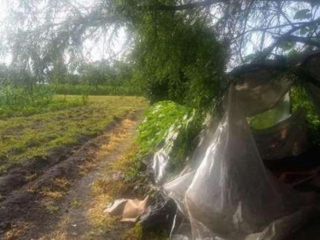 Terreno en Venta para Desarrollar, Plano, en Temixco, Morelos