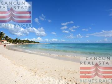 Bosque Real, Playa del Carmen, Solidaridad Quintana Roo, Quintana Roo