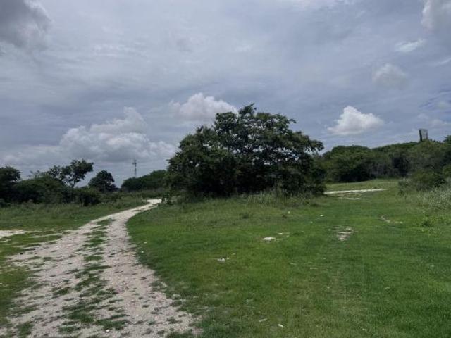 TERRENO EN VENTA PARA USO COMERCIAL O INDUSTRIAL