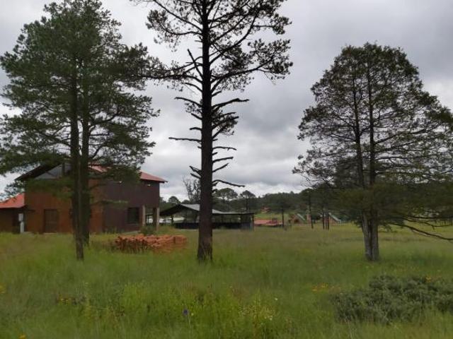 TERRENO EN VENTA PARAISO DE LA SIERRA 4