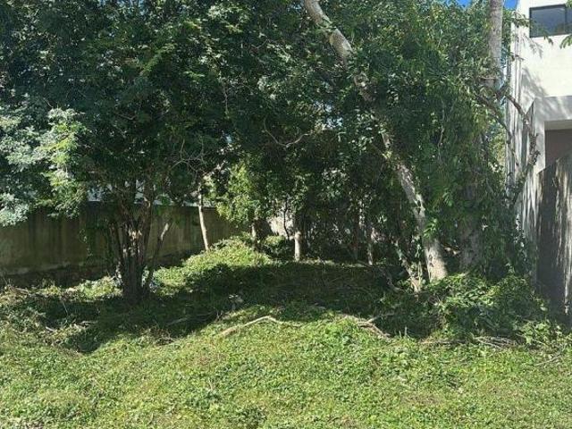 TERRENO EN VENTA, PARQUE CENTRAL AL NORTE DE MÉRIDA