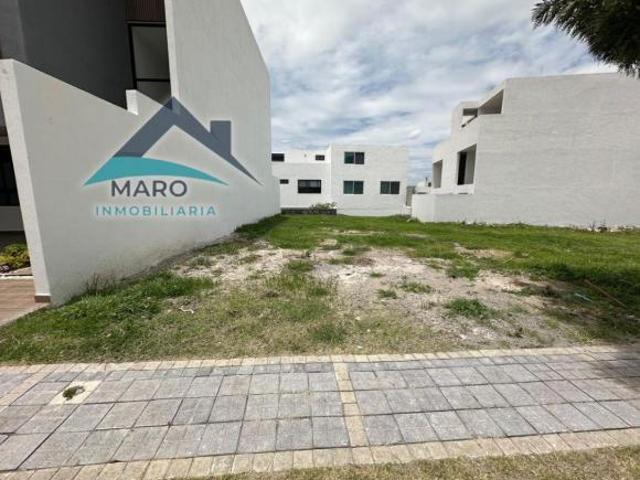 TERRENO EN VENTA PARQUE COLIMA LOMAS DE ANGELOPOLIS III