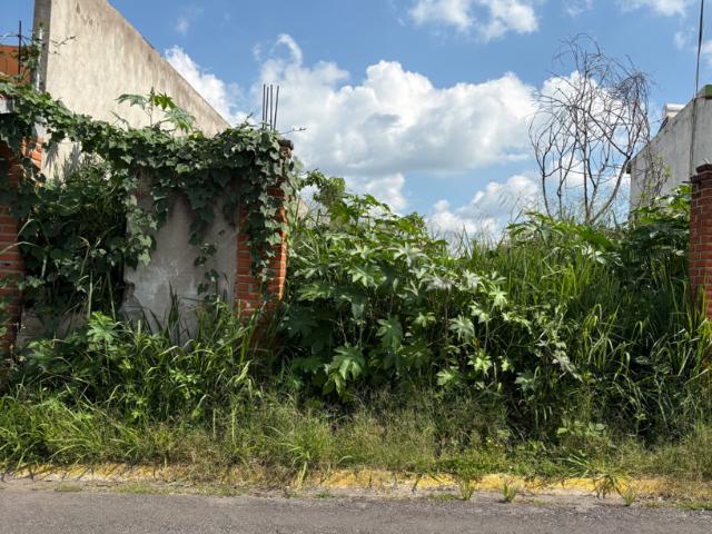 Terreno en venta Pedregal de Oaxtepec