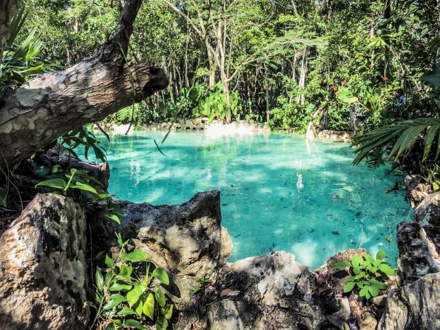 TERRENO EN VENTA/ PLAYA DEL CARMEN/ RESIDENCIAL/ USO HABITACIONAL/PLUSVALIA