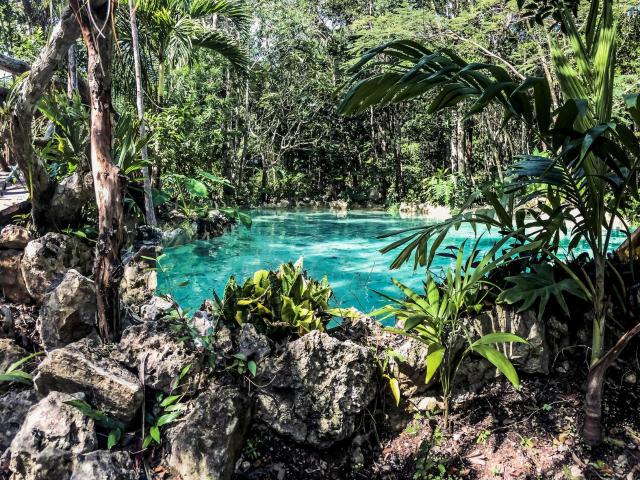 TERRENO EN VENTA/ PLAYA DEL CARMEN/ ZONA DIAMANTE/ RESIDENCIAL/ USO MIXTO /PLUSVALIA