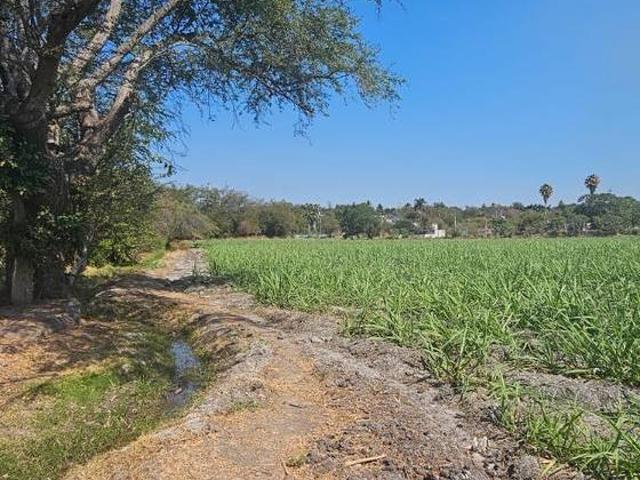 TERRENO EN VENTA POZA HONDA ZACATEPEC MORELOS